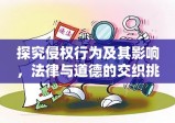 探究侵权行为及其影响，法律与道德的交织挑战