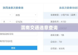 渭南交通违章查询，便捷途径与操作指南