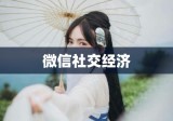 微信社交经济揭秘，金钱与时间的新关系——400块3小时背后的微妙变化