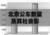 北京公车数量及其社会影响分析