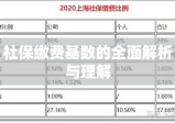 社保缴费基数的全面解析与理解