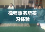 律师事务所实习体验与收获总结报告