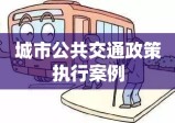 某城市公共交通政策执行案例分析，公共政策执行视角的探讨