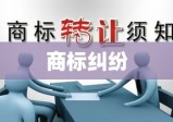 商标纠纷，解析、应对之道与策略探讨