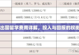 自费出国留学费用详解，投入与回报的权衡分析