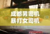 成都男司机暴打女司机事件，深度剖析与反思启示