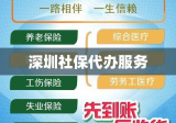 深圳社保代办服务，便捷高效，一站式解决社保问题