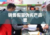 销售假冒伪劣产品罪，法律红线与公众安全的警示界限