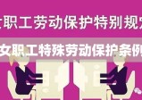 女职工特殊劳动保护条例，女性职工权益的坚实保障举措