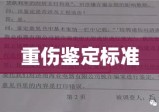 重伤鉴定标准，法律实践与医学评估的交融点