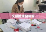 最新交强险赔偿范围全面解析