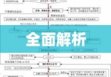 交通事故处理流程全面解析