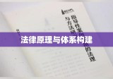 法理学讲义，法律原理与体系构建探究