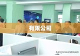 有限公司与有限责任公司差异深度解析