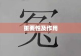 民事诉讼答辩状范文详解，揭示其重要性及作用