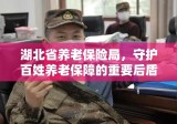 湖北省养老保险局，守护百姓养老保障的重要后盾