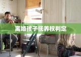 离婚孩子抚养权判定，为孩子构建美好未来之路