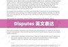 Disputes: 英文表达及其影响探究