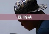 四川车祸致四死三伤，事故背后的警示与反思