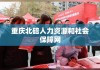 重庆北碚人力资源和社会保障网，民生保障数字桥梁的构建者