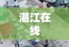 湛江在线，城市脉搏与数字时代的紧密交融