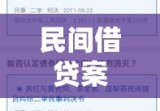 民间借贷案例深度剖析与解析