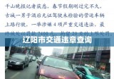 辽阳市交通违章查询，便捷服务助力交通安全