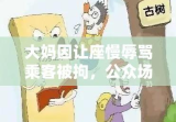 大妈因让座慢辱骂乘客被拘，公众场合文明素养与法治意识的缺失