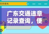 广东交通违章记录查询，便捷服务助力交通安全