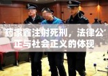 药家鑫注射死刑，法律公正与社会正义的体现