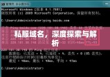 私服域名，深度探索与解析