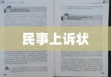 民事上诉状，正义的程序与权利保障的维权之路