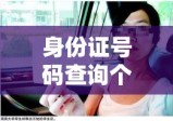 身份证号码查询个人档案，便捷与安全的双刃剑挑战