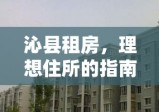 沁县租房，理想住所的指南探索