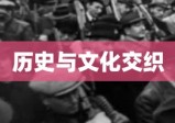 抢枪，历史、文化与社会现象的深度交织探讨