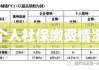 揭秘2021年社保缴费明细表，洞悉个人社保缴费情况全貌