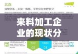 来料加工企业的现状分析与未来发展策略探讨