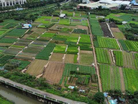 农村土地占用他人土地如何解决  第1张