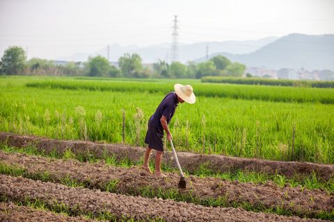 被征地农民养老保险怎么办理  第1张