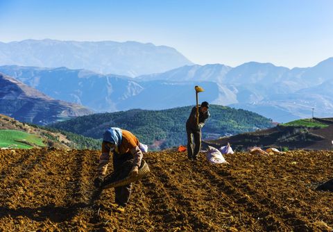 公职人员能否承包荒山耕地  第1张