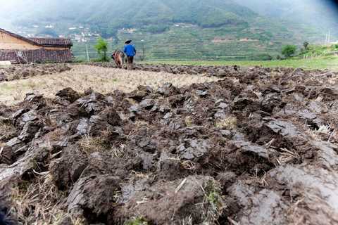 农村老人去世后名下土地怎么去处理  第1张