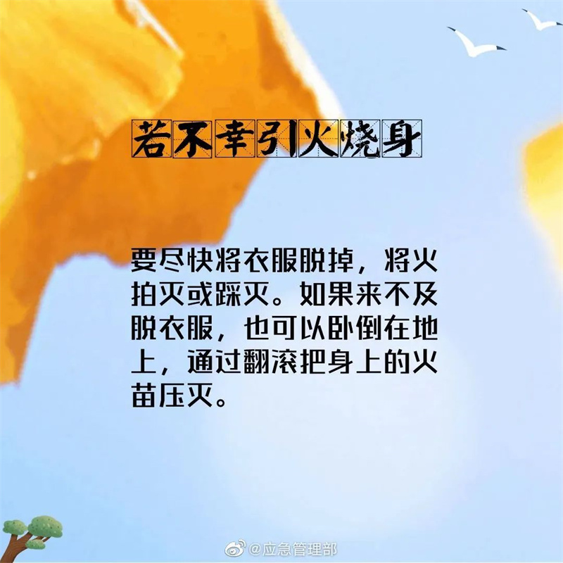 森林火灾逃生自救指南  第8张