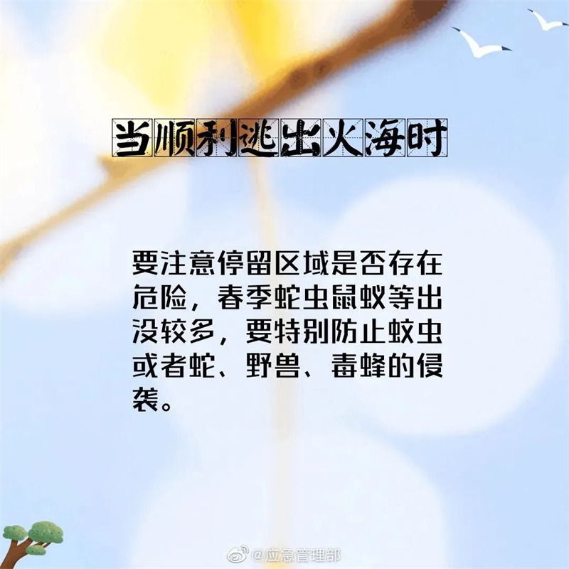 森林火灾逃生自救指南  第6张