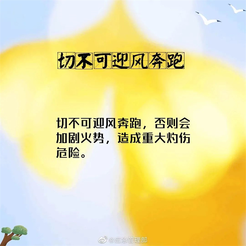 森林火灾逃生自救指南  第9张