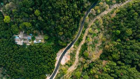 农村私人修路占用林地规定标准  第1张