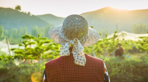 老人土地确权后儿女有继承权吗  第1张