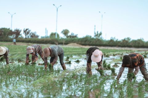 失地农民该有什么补偿吗  第1张