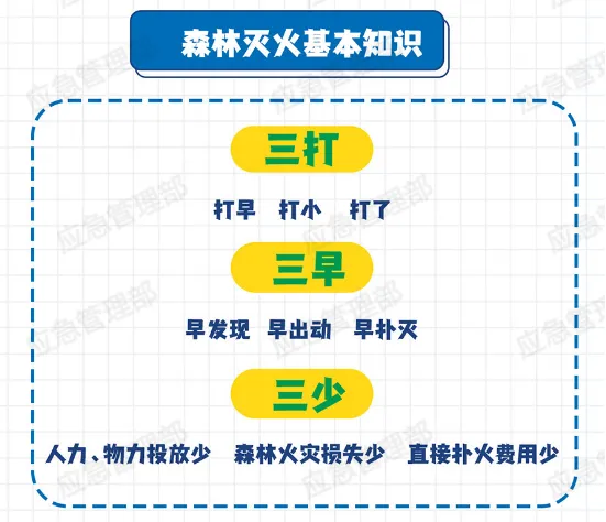 森林防火，重在预防！这些森林防火知识要掌握  第3张