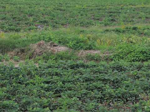 有人强占村集体土地怎么举报他  第1张