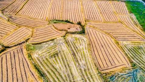 霸占土地怎样维权  第1张